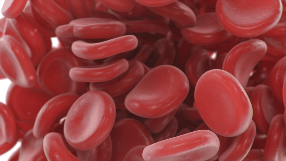 Información sobre la hemofilia