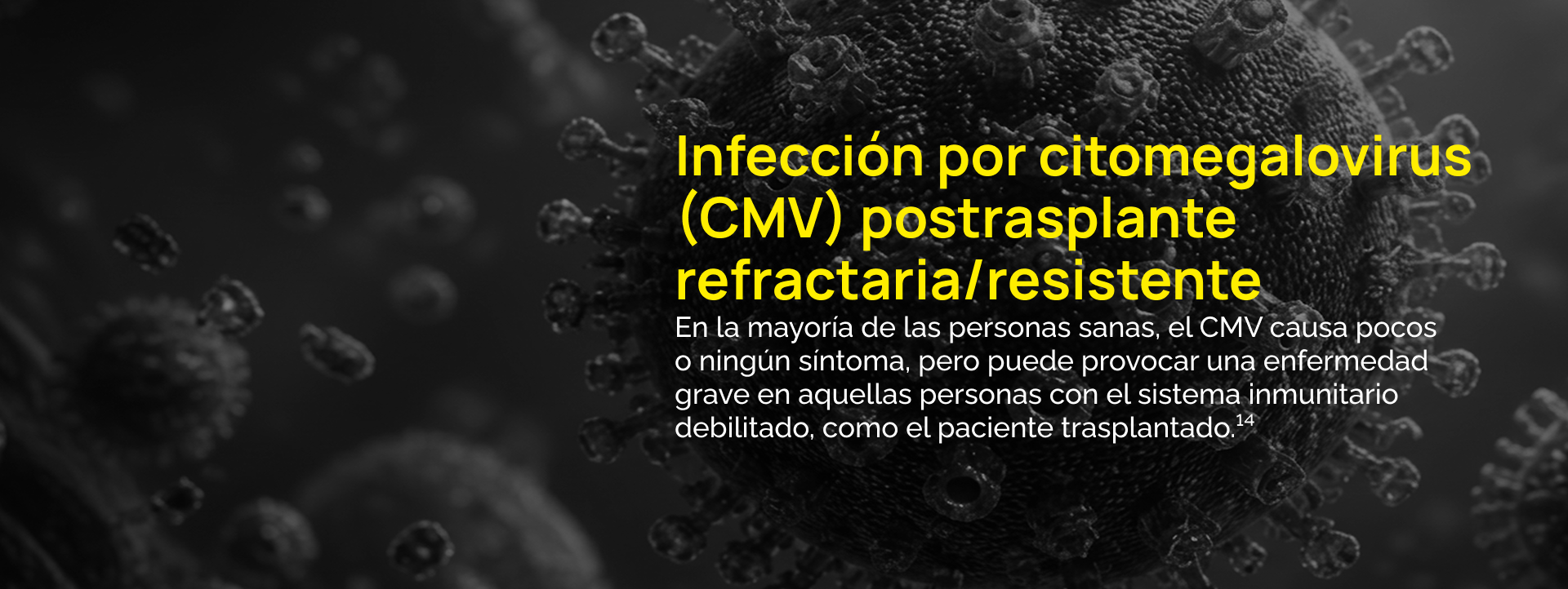 Infección por citomegalovirus (CMV) postrasplante refractaria/resistente. En la mayoría de las personas sanas, el CMV causa pocos o ningún síntoma, pero puede provocar una enfermedad grave en aquellas personas con el sistema inmunitario debilitado, como el paciente trasplantado. Referencia 14.