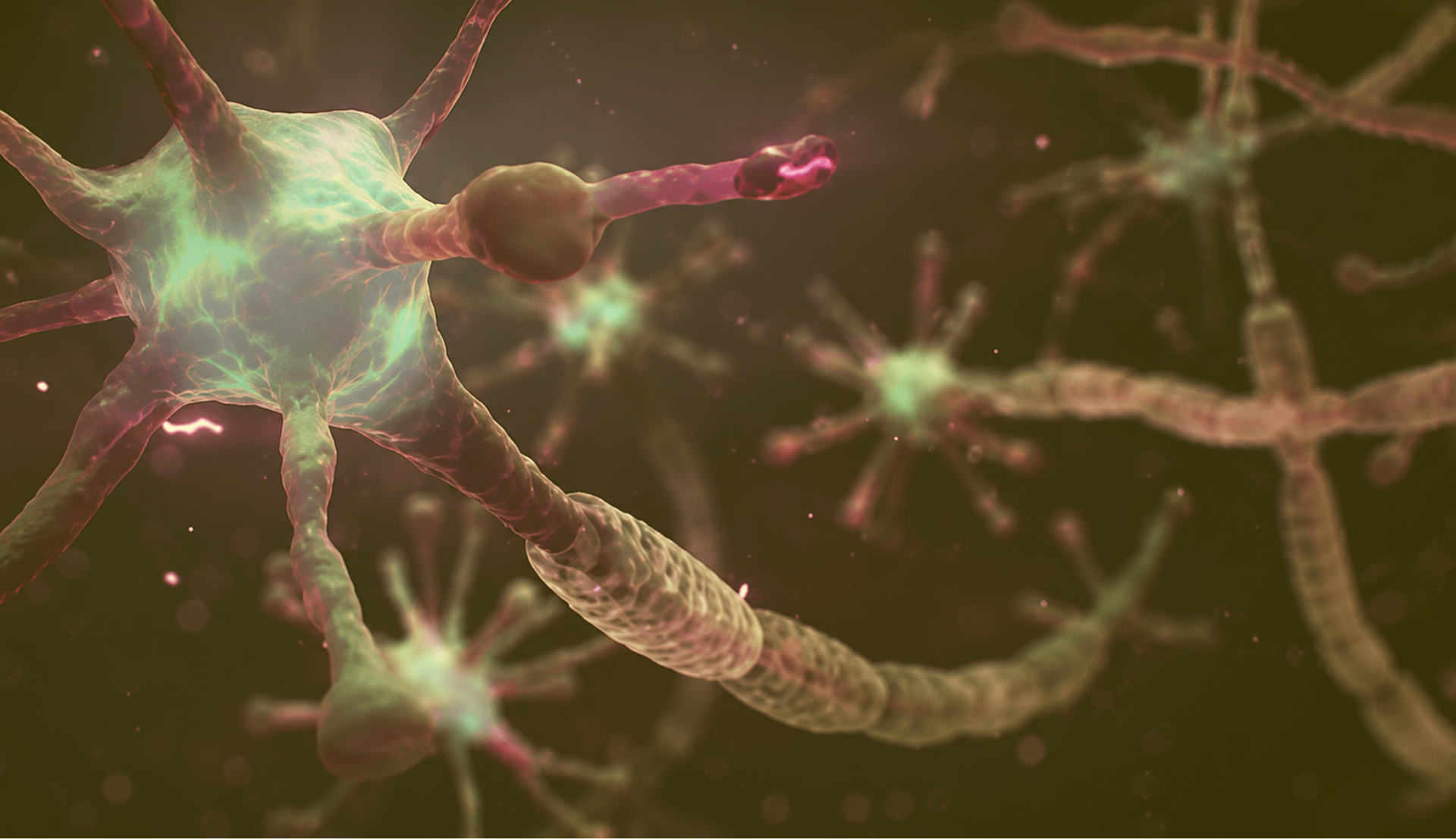 Ilustración de neuronas