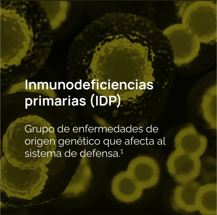 Banner_Inmunodeficiencias primarias (IDP)